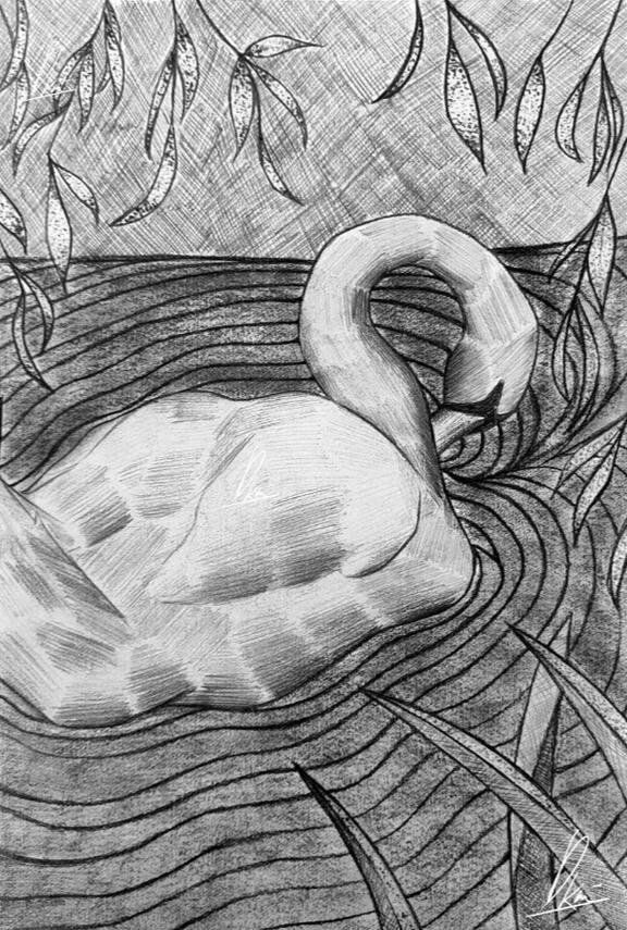 Pencil + charcoal study